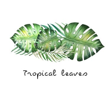 beyaz arka plan üzerinde tropikal yaprakları suluboya illüstrasyon