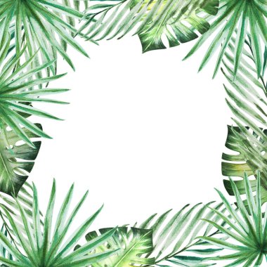 tropikal yaprak çerçeve, suluboya illüstrasyon