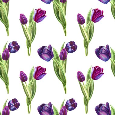 lale arka plan illüstrasyon, dikişsiz desen