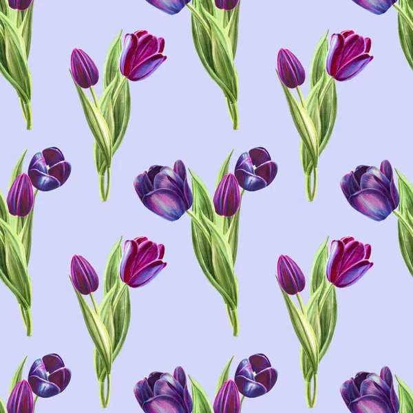 Tulips Background Illustration Seamless Pattern — Stock Photo, Image