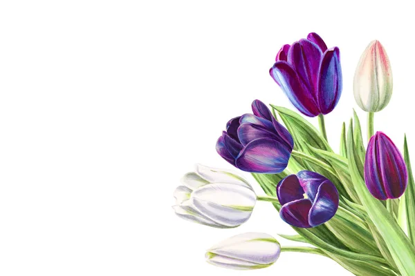 Tulips Bouquet Illustration White Background — Stock Photo, Image