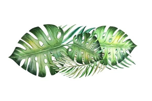 Feuilles Tropicales Aquarelle Illustration Sur Fond Blanc — Photo