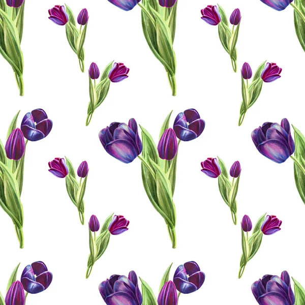 Tulpen Hintergrund Illustration Nahtlose Muster — Stockfoto