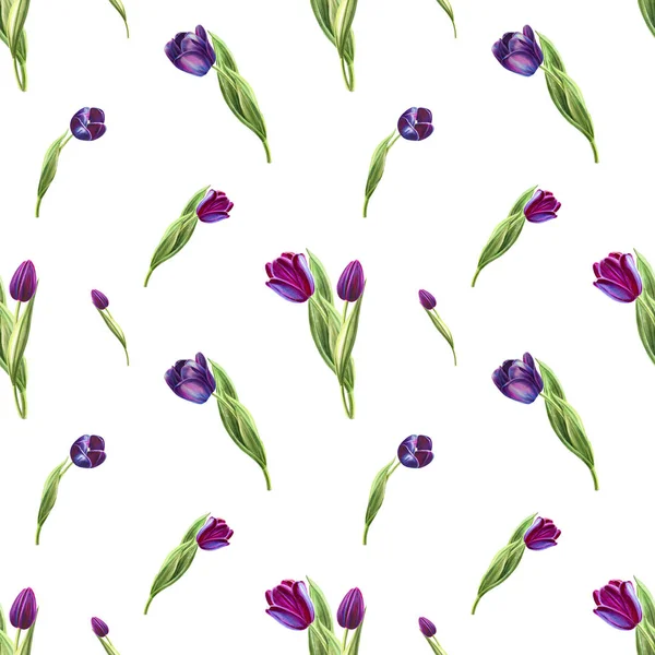 Tulpen Hintergrund Illustration Nahtlose Muster — Stockfoto