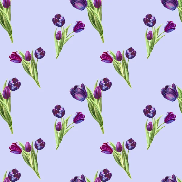 Tulpen Hintergrund Illustration Nahtlose Muster — Stockfoto