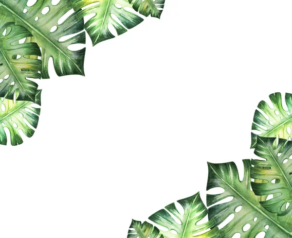 Quadro Folhas Tropicais Ilustração Aquarela — Fotografia de Stock