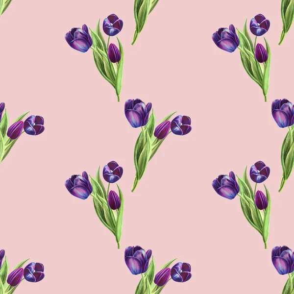 Tulipánok Háttér Illusztráció Varratmentes Minta — Stock Fotó