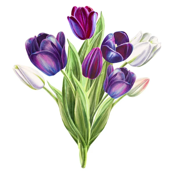 Tulips Bouquet Illustration White Background — Stock Photo, Image