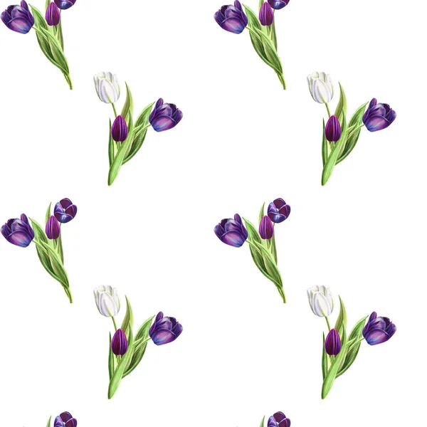 Tulpen Hintergrund Illustration Nahtlose Muster — Stockfoto