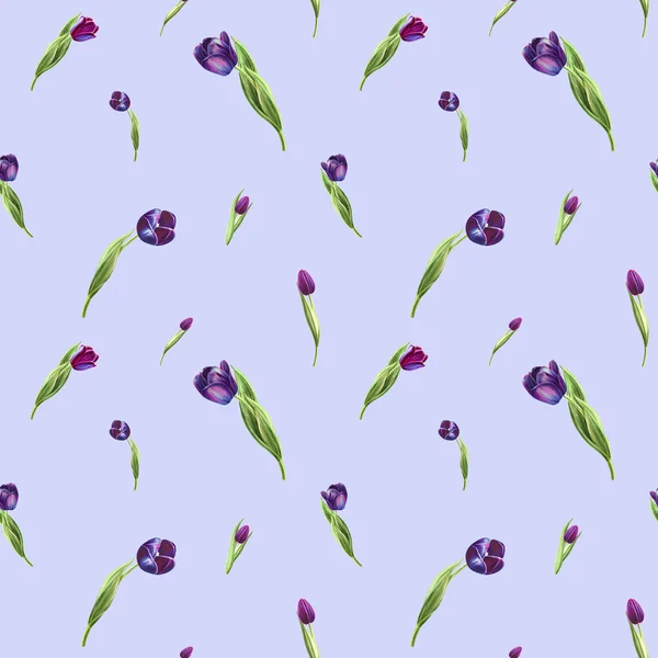 Tulpen Hintergrund Illustration Nahtlose Muster — Stockfoto