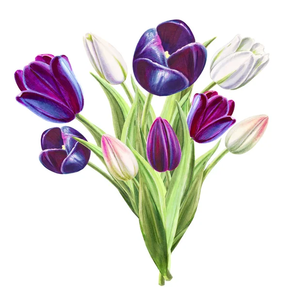 Tulips Bouquet Illustration White Background — Stock Photo, Image