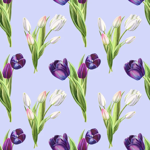 Tulpen Hintergrund Illustration Nahtlose Muster — Stockfoto