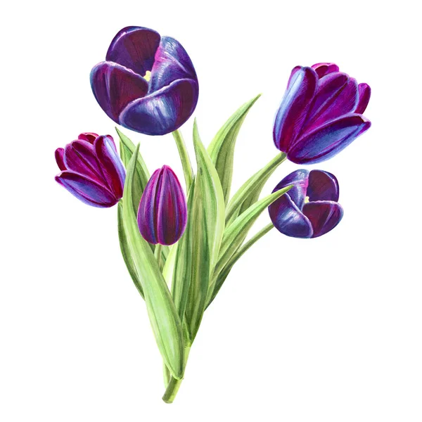 Tulips Bouquet Illustration White Background — Stock Photo, Image