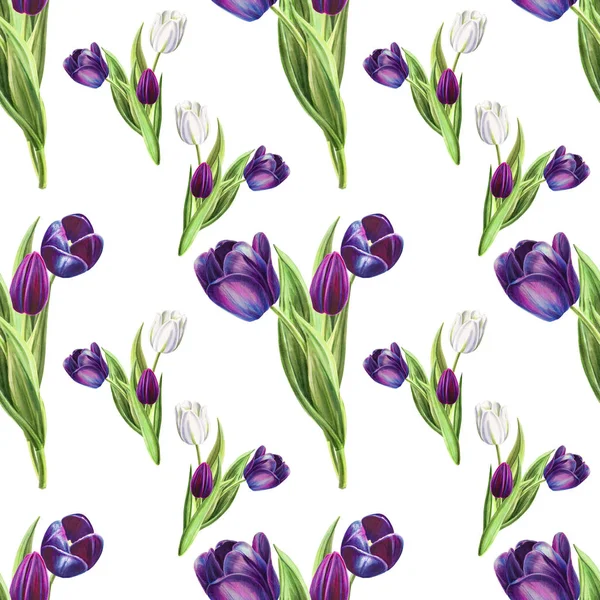 Tulpen Hintergrund Illustration Nahtlose Muster — Stockfoto