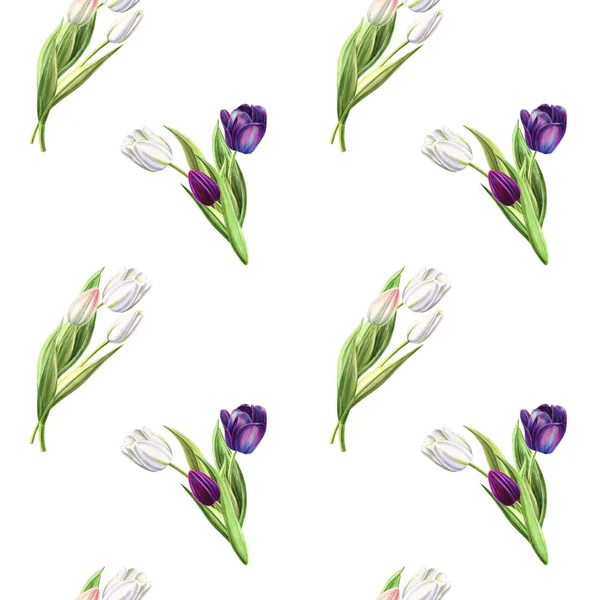 Tulipanes Fondo Ilustración Patrón Sin Costuras —  Fotos de Stock