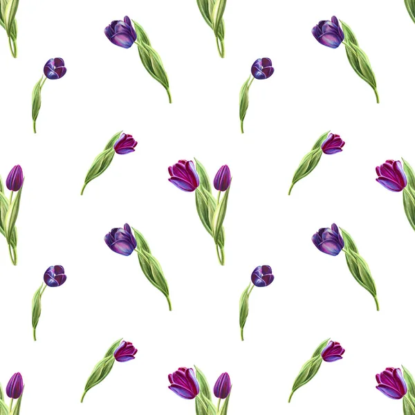 Tulpen Hintergrund Illustration Nahtlose Muster — Stockfoto