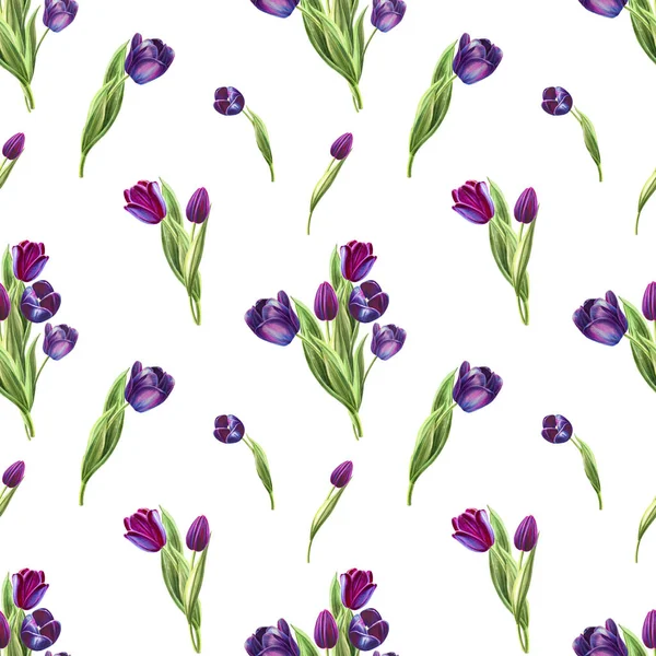 Tulipánok Háttér Illusztráció Varratmentes Minta — Stock Fotó