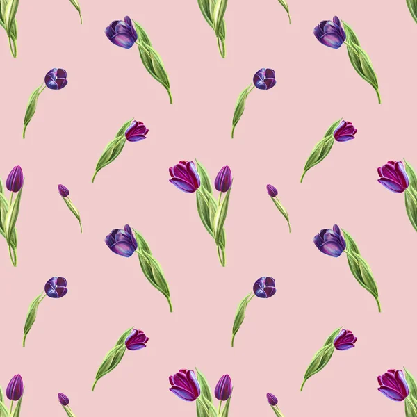 Tulips Background Illustration Seamless Pattern — Stock Photo, Image