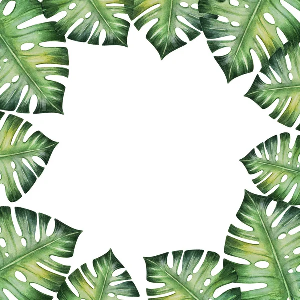 Рамка Тропических Листьев Акварель — стоковое фото