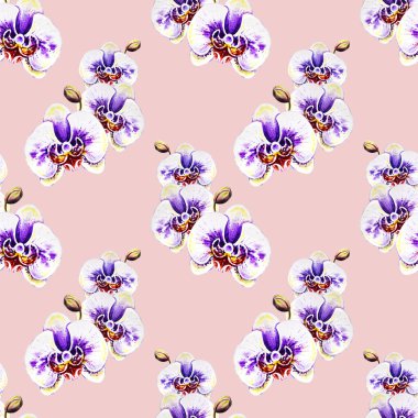 Suluboya orkide çiçekleri ile Seamless Modeli 