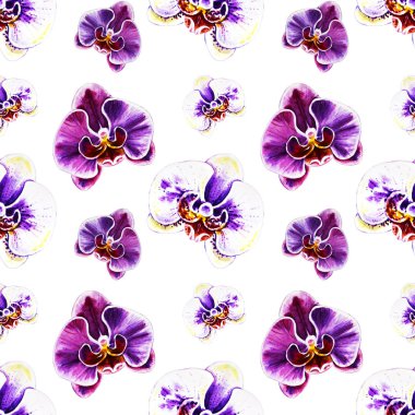 Suluboya orkide çiçekleri ile Seamless Modeli 