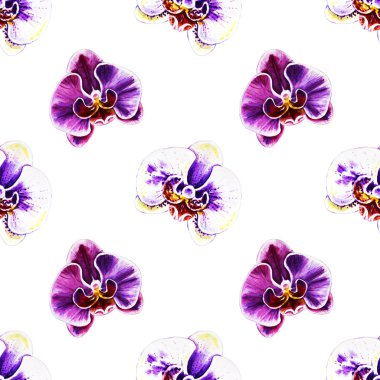 Suluboya orkide çiçekleri ile Seamless Modeli 