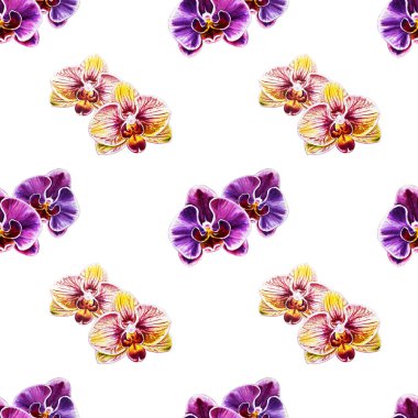 Suluboya orkide çiçekleri ile Seamless Modeli 