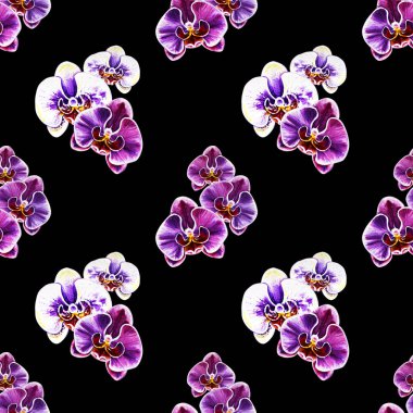 Suluboya orkide çiçekleri ile Seamless Modeli 