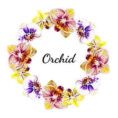 suluboya illüstrasyon, orkide çiçek çerçeve