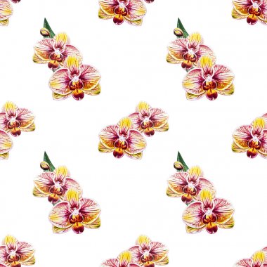 Suluboya orkide çiçekleri ile Seamless Modeli 