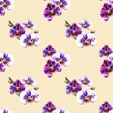 Suluboya orkide çiçekleri ile Seamless Modeli 