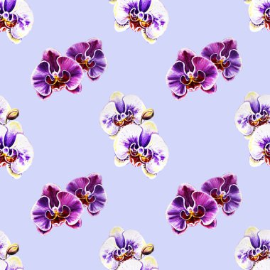 Suluboya orkide çiçekleri ile Seamless Modeli 