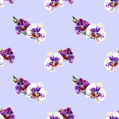 Suluboya orkide çiçekleri ile Seamless Modeli 