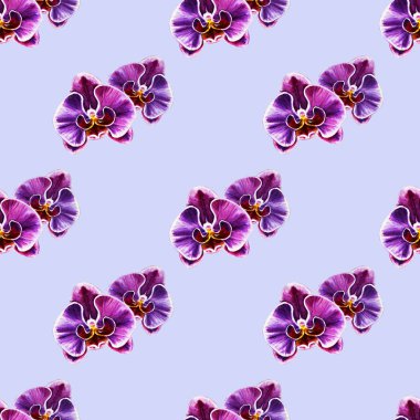 Suluboya orkide çiçekleri ile Seamless Modeli 