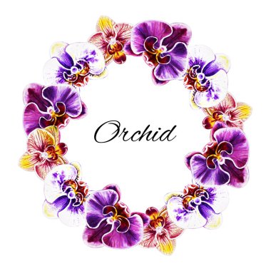 suluboya illüstrasyon, orkide çiçek çerçeve