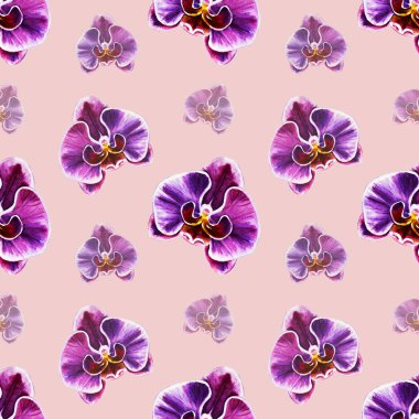 Suluboya orkide çiçekleri ile Seamless Modeli 