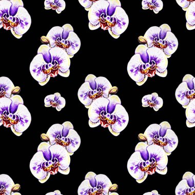 Suluboya orkide çiçekleri ile Seamless Modeli 