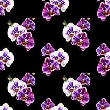 Suluboya orkide çiçekleri ile Seamless Modeli 