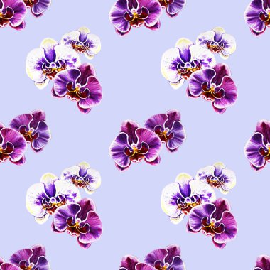 Suluboya orkide çiçekleri ile Seamless Modeli 