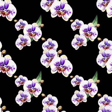 Suluboya orkide çiçekleri ile Seamless Modeli 