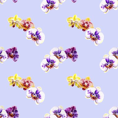 Suluboya orkide çiçekleri ile Seamless Modeli 