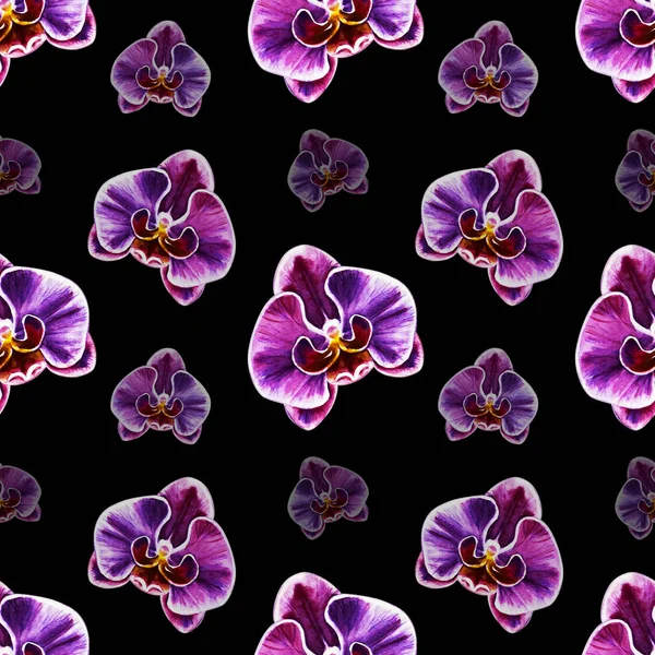 Wzór Akwarela Kwiaty Orchidei — Zdjęcie stockowe