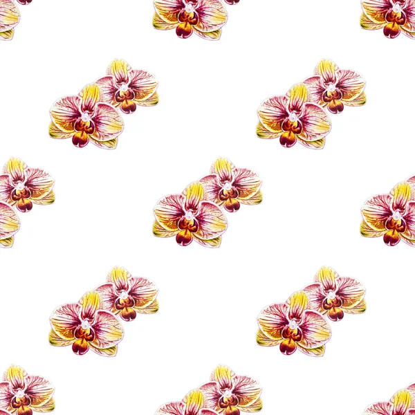 Seamless Pattern Watercolor Orchid Flowers — Stock Photo, Image