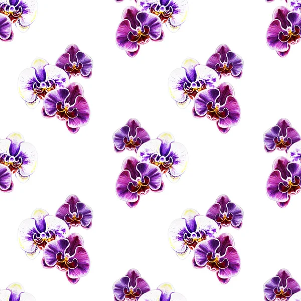 Modello Senza Cuciture Con Fiori Orchidea Acquerello — Foto Stock