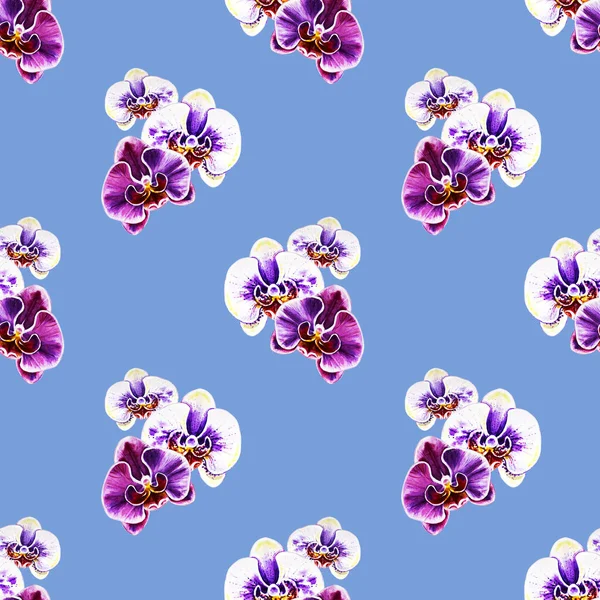 Nahtloses Muster Mit Aquarell Orchideenblumen — Stockfoto