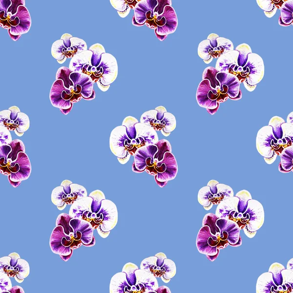seamless pattern with watercolor orchid flowers 