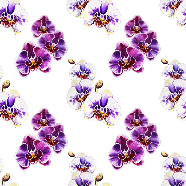 Patrón Sin Costura Con Flores Orquídea Acuarela —  Fotos de Stock