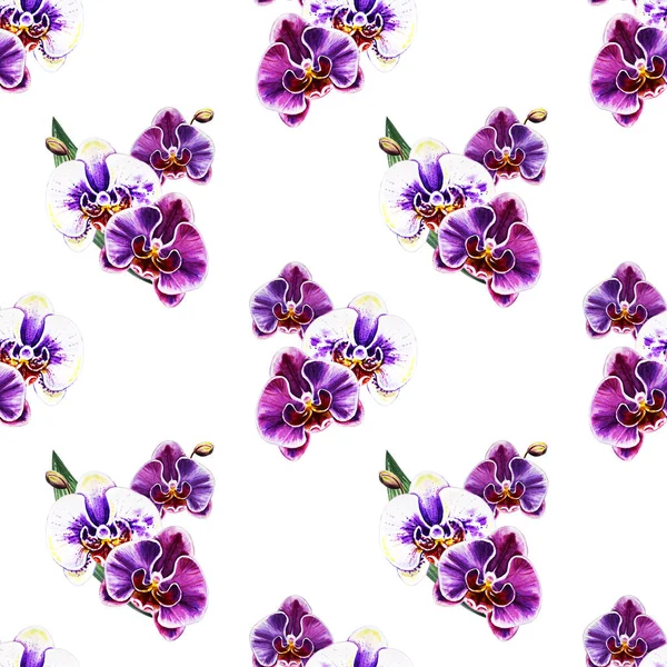 无缝模式与水彩的兰花花 — 图库照片
