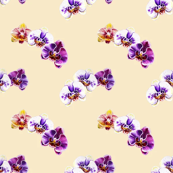 Seamless Pattern Watercolor Orchid Flowers — Stock Photo, Image