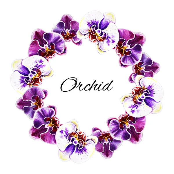 Akvarel Rám Květy Orchidejí — Stock fotografie